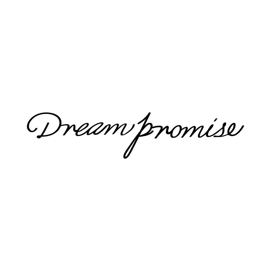 DREAM PROMISE
