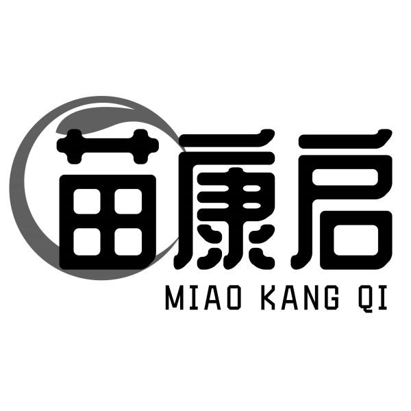 苗康启