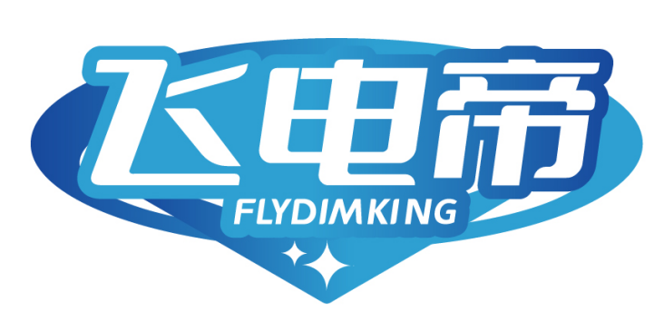 飞电帝FLYDIMKING