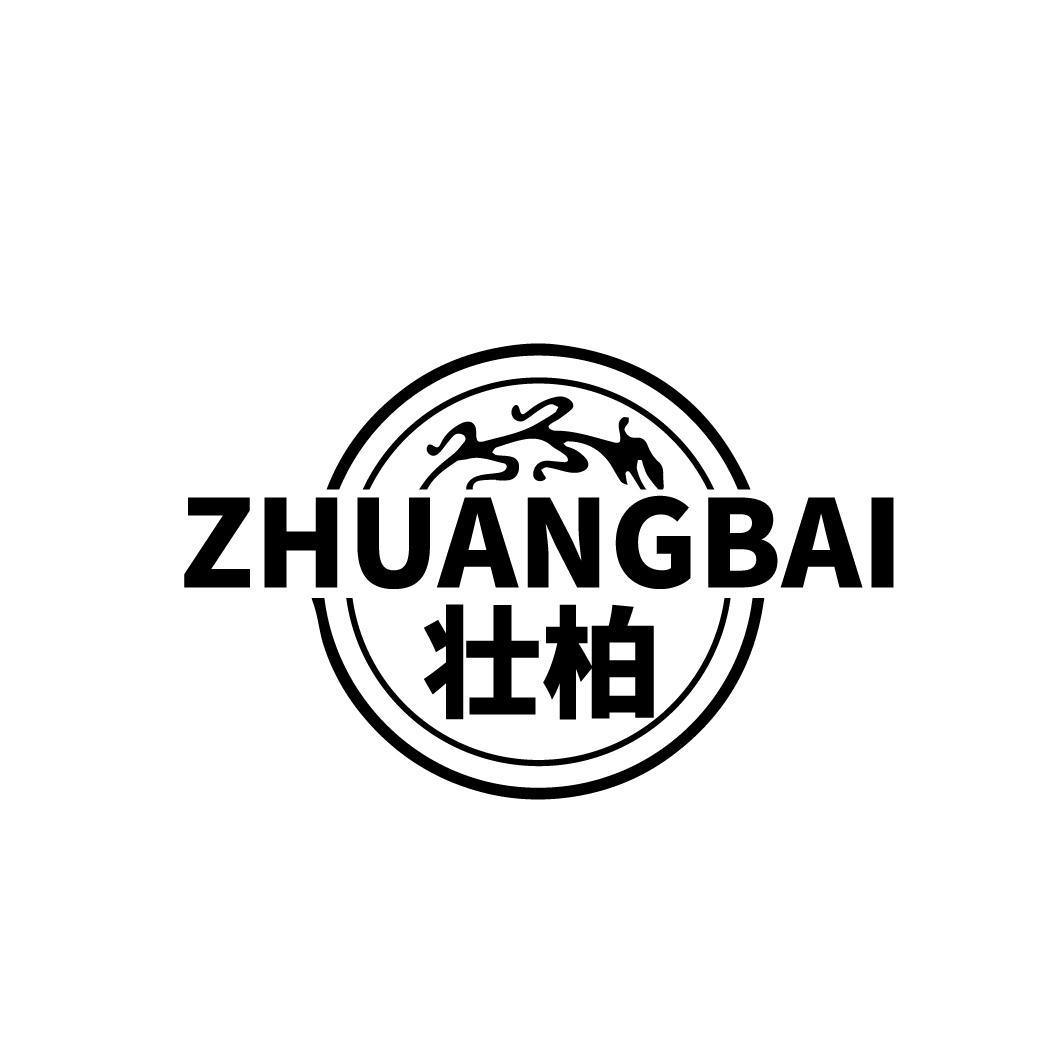 壮柏