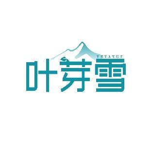 叶芽雪