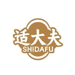 适大夫