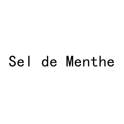 SEL DE MENTHE