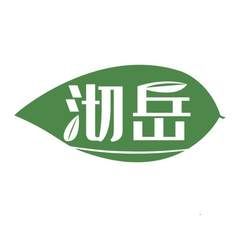 沏岳