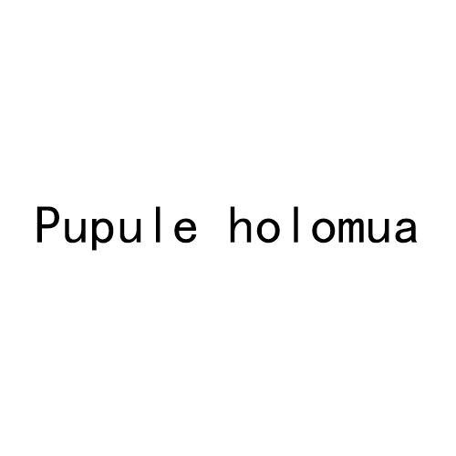 PUPULE HOLOMUA