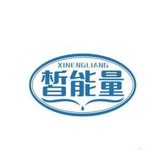 皙能量