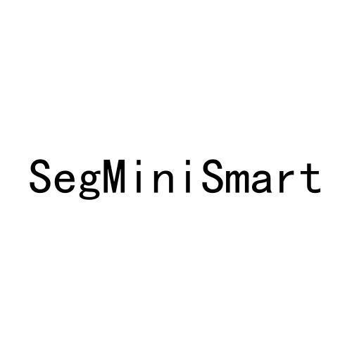 SEGMINISMART