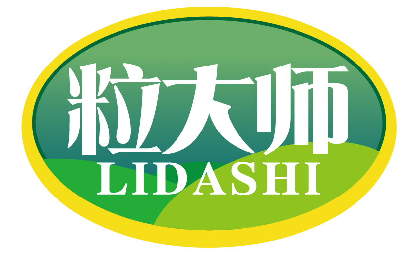 粒大师lidashi