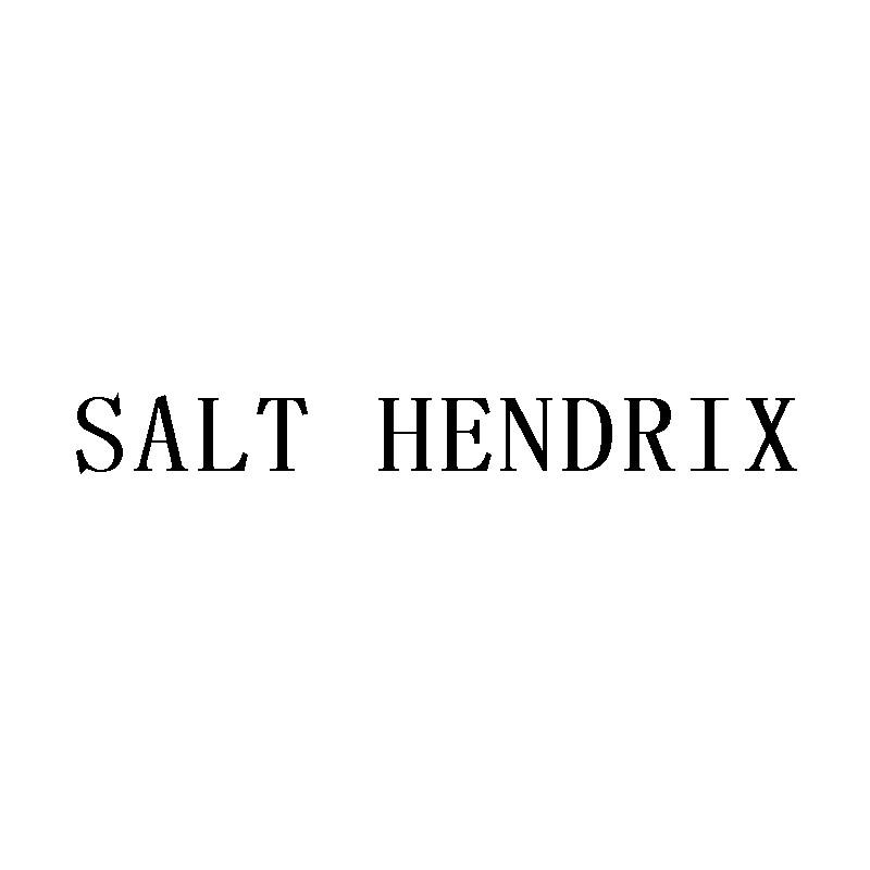 SALT HENDRIX