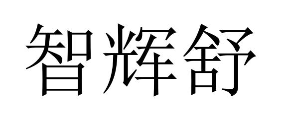 智辉舒