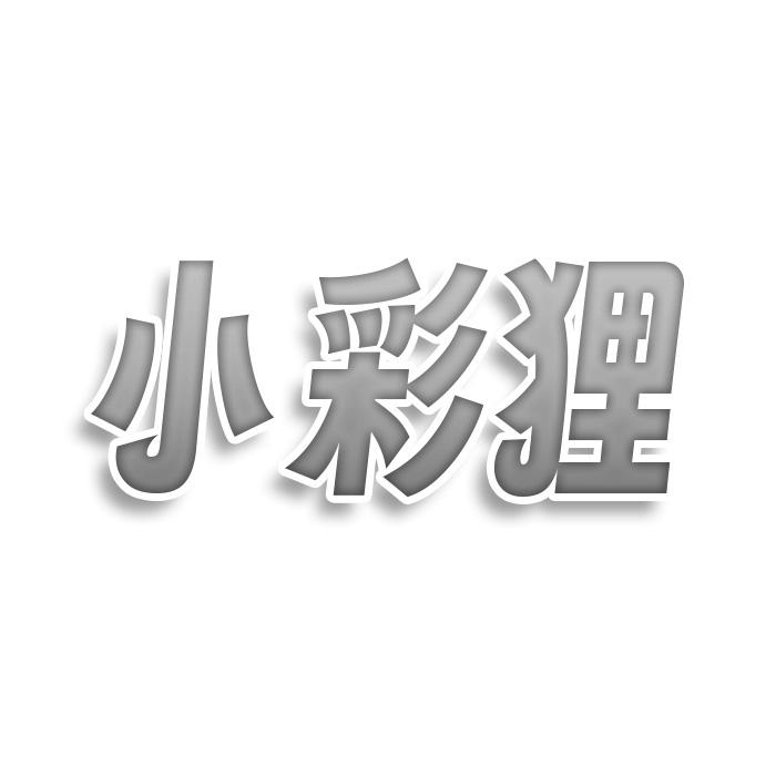 小彩狸