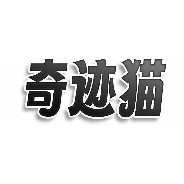 奇迹猫