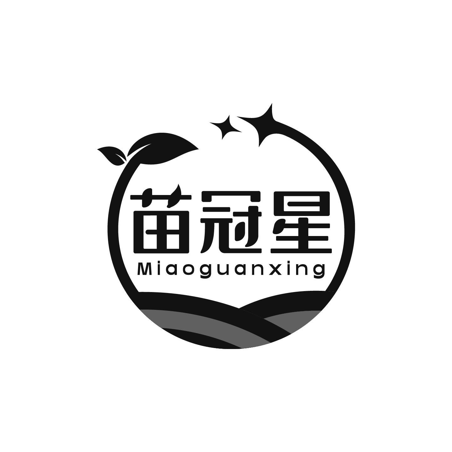 苗冠星