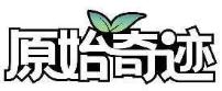 原始奇迹