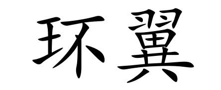 环翼