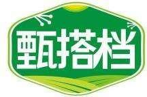 甄搭档