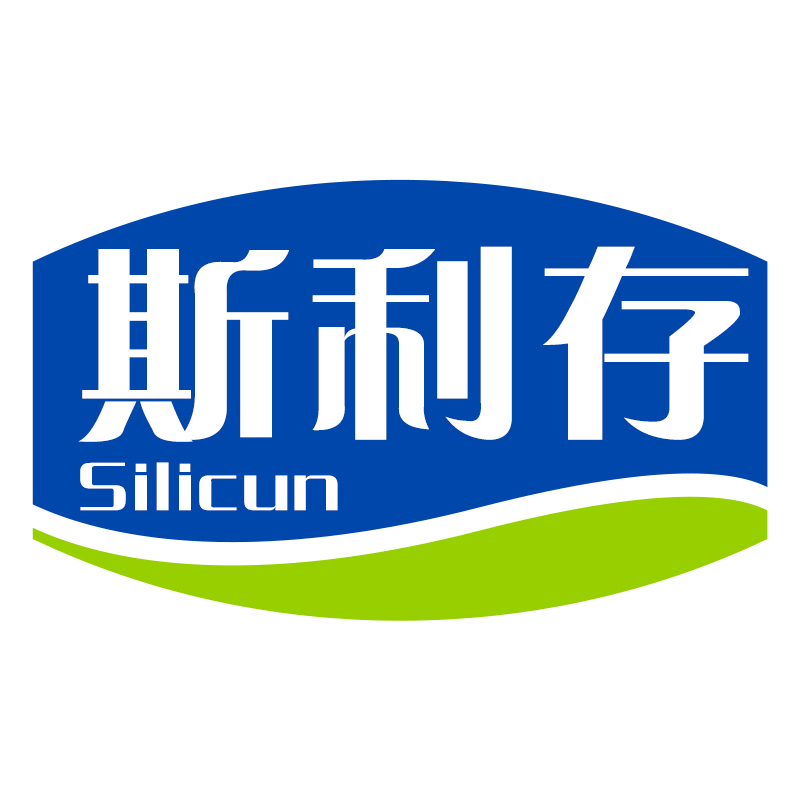 斯利存