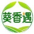 葵香遇