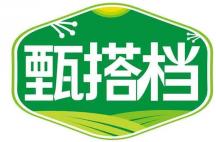 甄搭档