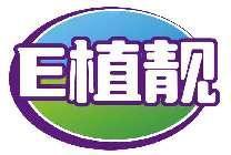 E植靓