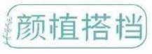 颜植搭档