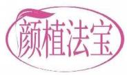 颜植法宝