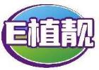 E植靓