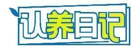 认养日记