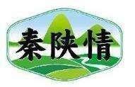 秦陕情