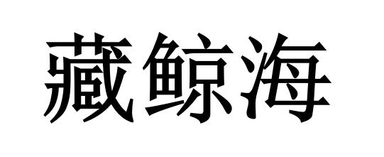 藏鲸海