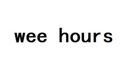 WEE HOURS