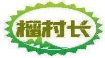 榴村长