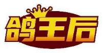 鸽王后