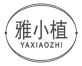雅小植
yaxiaozhi