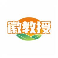 徽教授