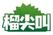 榴尖叫