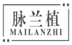 脉兰植
mailanzhi