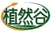 植然谷