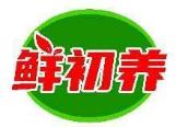 鲜初养