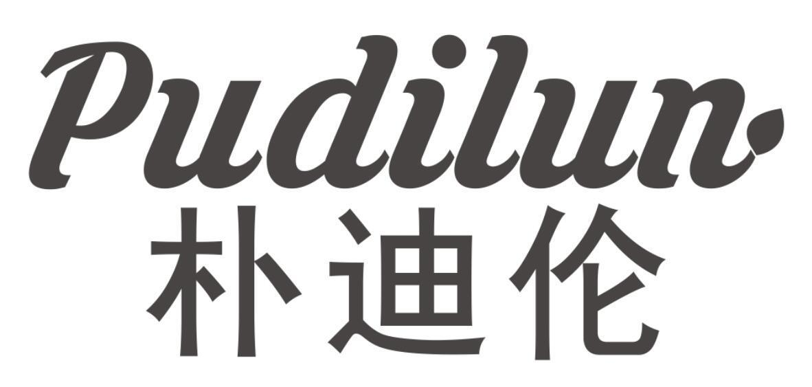 朴迪伦
PUDILUN