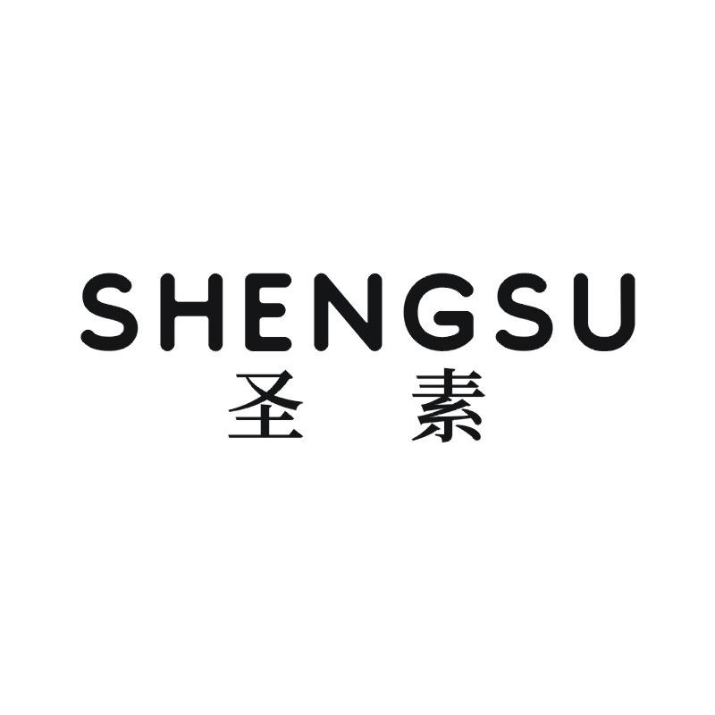 圣素