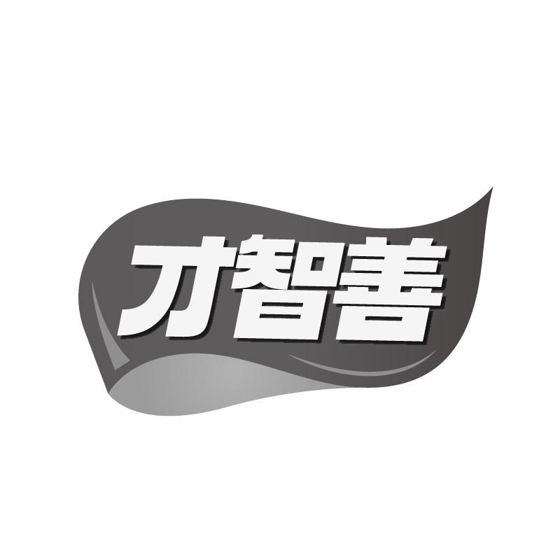 才智善