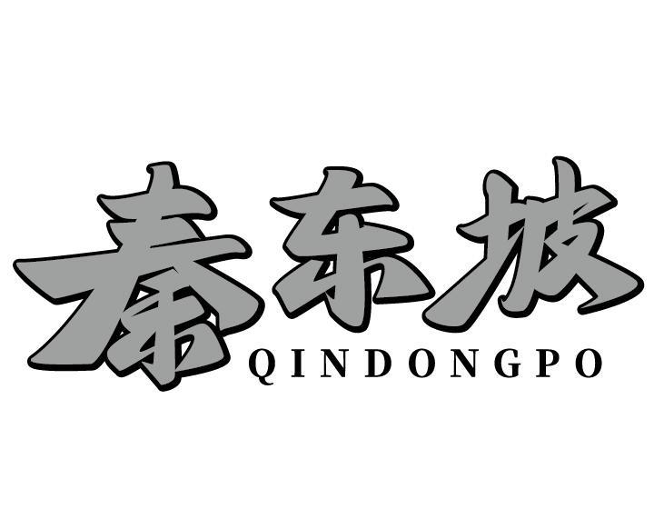 秦东坡