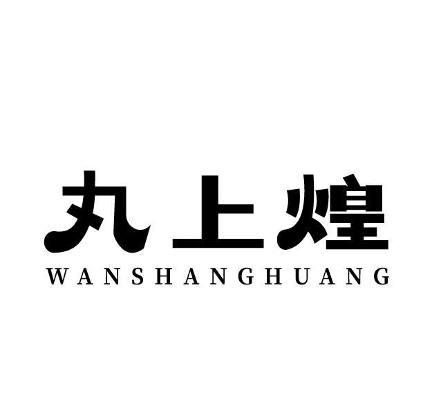 丸上煌