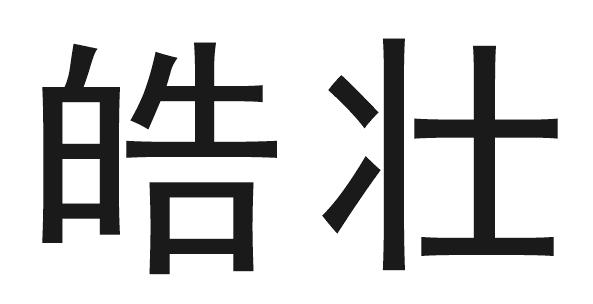 皓壮