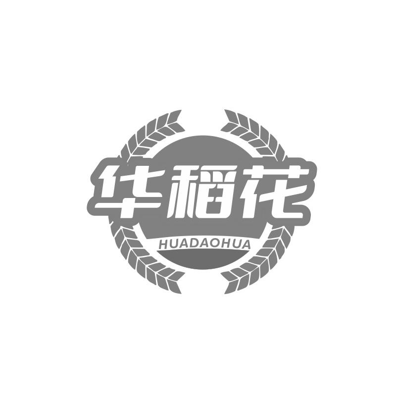 华稻花