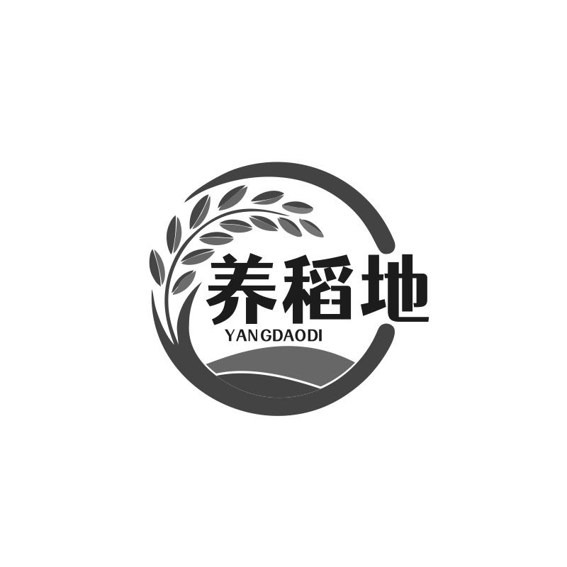 养稻地
