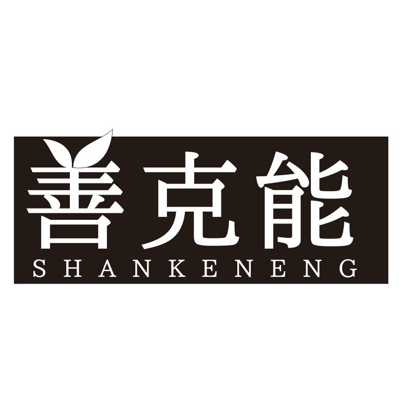 善克能