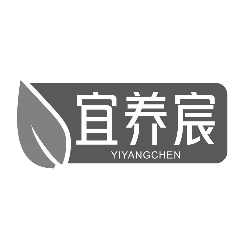 宜养宸