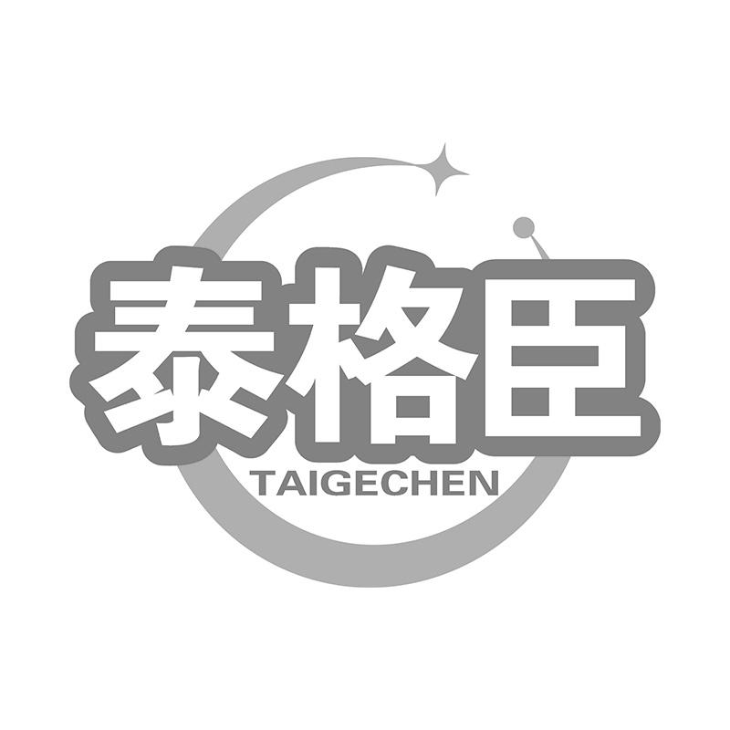 泰格臣